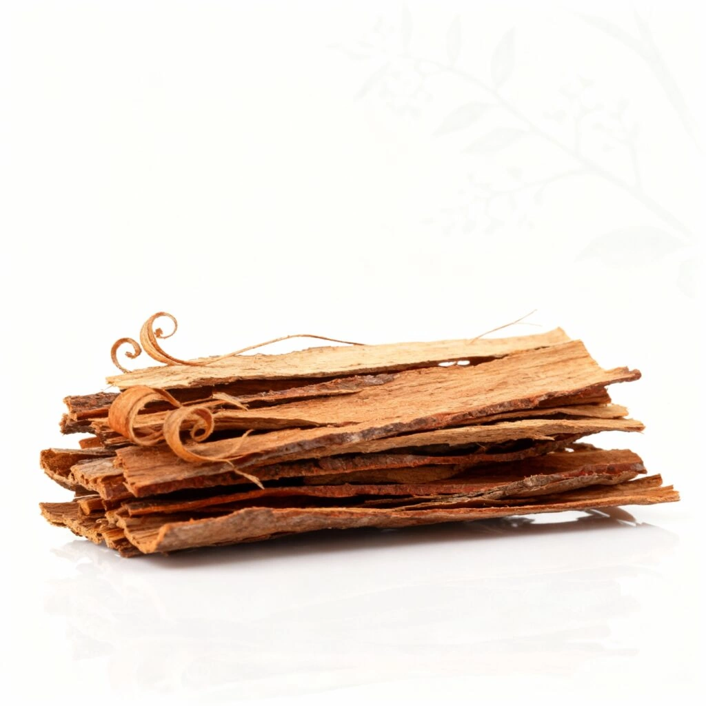Brazilian Catuaba bark — natural CNS stimulant ingredient in Giant Max for blood circulation and sexual arousal
